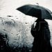 有雨吗,有雨吗明天缩略图 有雨吗,有雨吗明天缩略图