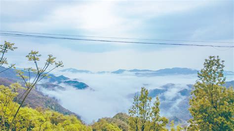 四明山在哪里,四明山在哪里个省哪个县缩略图