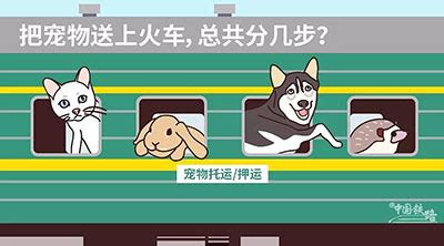 高铁能带狗吗,高铁能带狗吗有什么规定缩略图