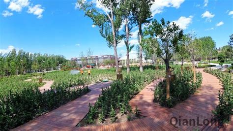 北京植物园怎么走(北京植物园怎么走公交路线)缩略图