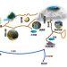 长白山在哪里(长白山在哪里属于哪个城市)缩略图 长白山在哪里(长白山在哪里属于哪个城市)缩略图