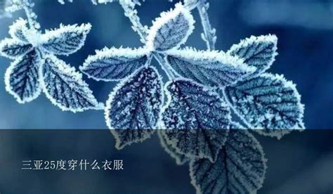 25度穿什么衣服(25度穿什么衣服合适)缩略图