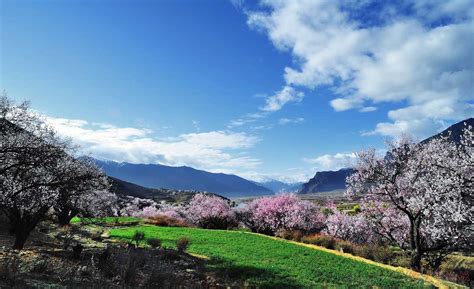 林芝在哪(林芝在哪个省份)缩略图