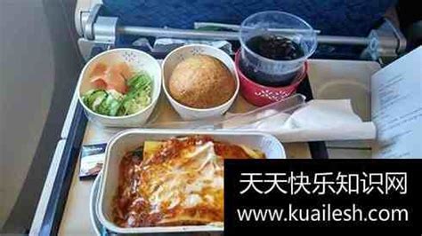 飞机餐是免费的吗(飞机餐是免费的吗多少钱)缩略图 飞机餐是免费的吗(飞机餐是免费的吗多少钱)缩略图