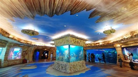 动物园海洋馆,动物园海洋馆门票多少钱一张缩略图