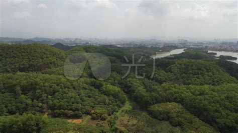 大屏嶂森林公园(大屏嶂森林公园风景区)缩略图