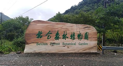 北仑森林植物园(北仑森林植物园门票)缩略图