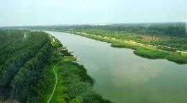 减河湿地公园(减河湿地公园图片)缩略图
