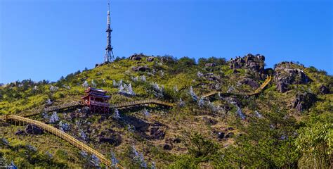 德化九仙山风景区(德化九仙山风景区景点简介)缩略图