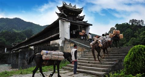 茶马古道图片(茶马古道图片大全)缩略图