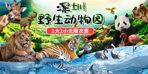 野生动物园门票,野生动物园门票价格缩略图