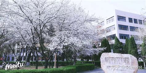 河北大学地址(河北大学地址在哪里)缩略图