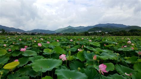 龙岩古田,龙岩古田会议旧址缩略图