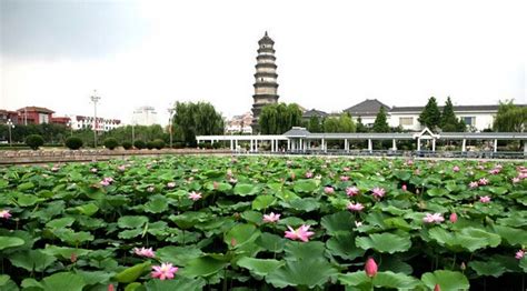 微山湖旅游景区(微山湖旅游景区有哪些)缩略图
