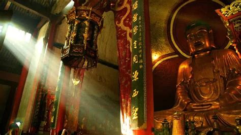 江南第一大佛,江南第一大佛完整版缩略图