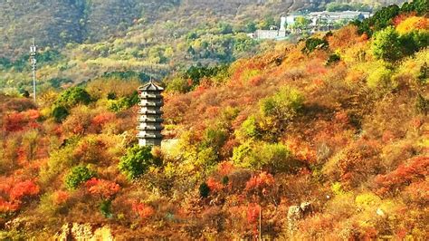 小西山,小西山在哪里缩略图