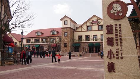 蓝莓小镇(蓝莓小镇在哪)缩略图