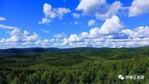 伊春景点,伊春景点排行榜缩略图