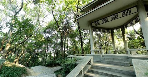 青山公园,青山公园有哪些景点缩略图