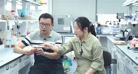 江南妈妈,追赶江南妈妈缩略图