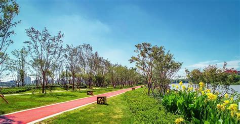 秀水花园(秀水花园二手房)缩略图