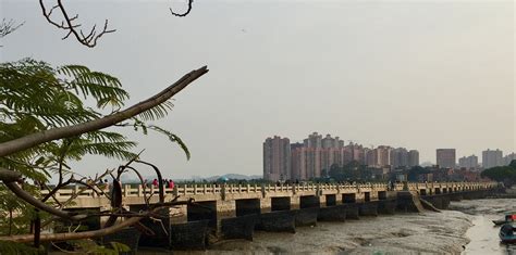 泉州洛阳桥(泉州洛阳桥简介)缩略图