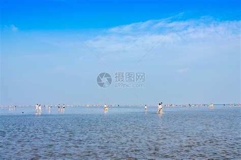 启东黄金海滩,启东黄金海滩风景区缩略图
