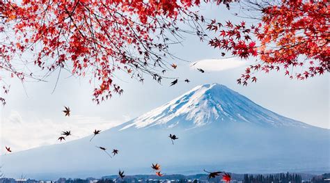 日本旅游攻略(日本旅游攻略必去景点)缩略图