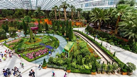 新加坡植物园(新加坡植物园在哪里)缩略图