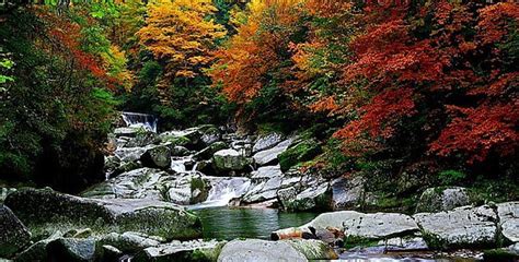米仓山大峡谷(米仓山大峡谷景区)缩略图