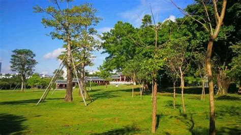 紫马岭公园(紫马岭公园动物园)缩略图