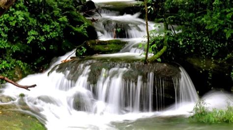 竹溪天气,竹山天气预报缩略图