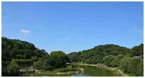 丰山公园,丰山公园缅怀革命先烈缩略图