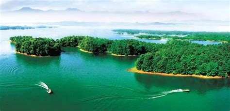 信阳光山县,信阳光山县茶叶缩略图