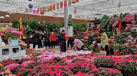北京花市,北京花市有哪些缩略图