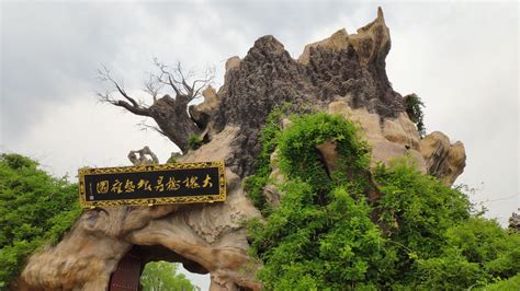 山西洪桐大槐树(山西洪桐大槐树门票多少钱)缩略图