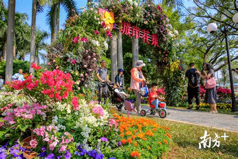 深圳莲花山,深圳莲花山公园相亲角缩略图