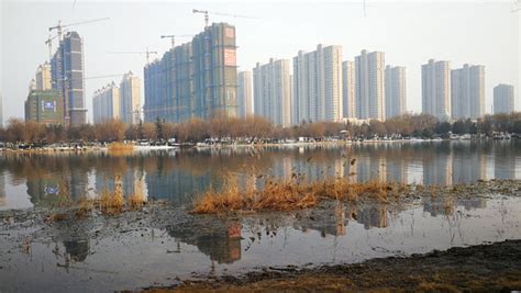 三角洲生态公园,三角洲生态公园门票多少钱缩略图
