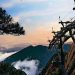 黄山缆车到山顶吗,庐山缆车到山顶吗缩略图 黄山缆车到山顶吗,庐山缆车到山顶吗缩略图