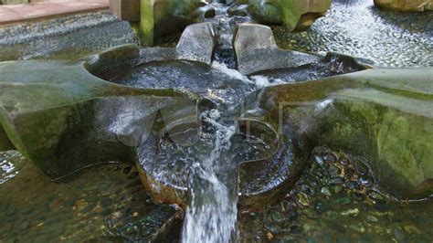 活水公园,活水公园的水净化系统缩略图