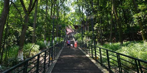 南京翠屏山(南京翠屏山小学)缩略图
